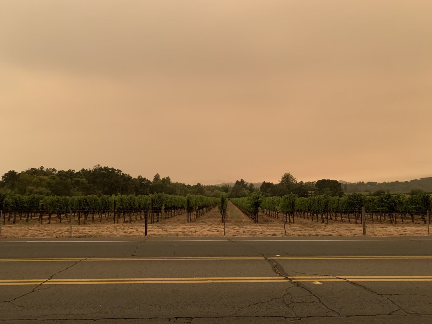 Skies over Napa County
